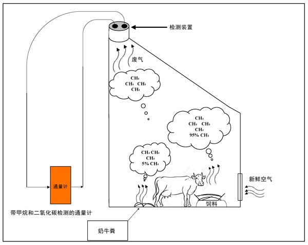 活性炭投加饲料中减少气体排放并提高产量