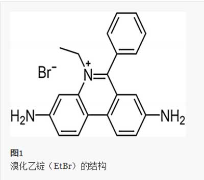 活性炭吸附溴化乙锭