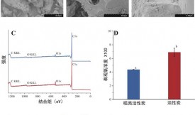 活性炭吸附回收羟基酪醇