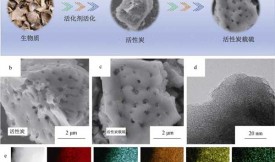 活性炭用于锂硫电池
