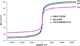 磁性活性炭涂覆有机硅去除氯和硝基酚