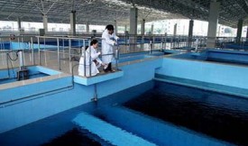 生物活性炭被用于水净化