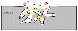 活性炭的来由