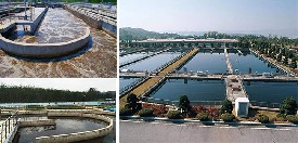 「使用现场」南京市某污水处理厂选用木质柱状污水专用活性炭